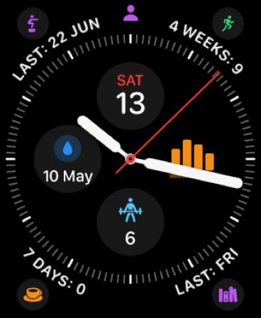 Chronicling Apple Watch screenshot showing stats